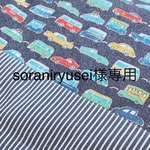 soraniryusei様専用