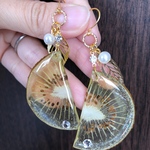 キウイピアス[送料無料]
