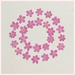 天然押し花素材　246