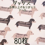 ダックスのサンキューメッセージシール★80枚★