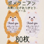ふさふさポメラニアンのサンキューメッセージシール★80枚★