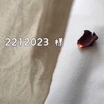 2212023様 専用 ページ 