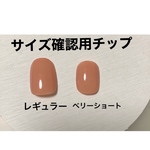サイズ確認用ネイルチップ  