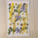 押し花ミモザセット