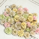 かすみ草　ドライフラワー　pastel mix