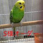 S様オーダー品