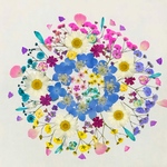 押し花素材