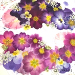 ♡new♡ 送料無料！♡たっぷり押し花セット♡