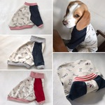  mugi…様　専用サイト　　ラグラントレーナー　中型犬 ビーグル 
