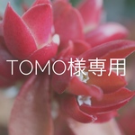 tomo様専用  