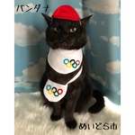 再再再再再再入荷！ニャリンピックバンダナ、猫ちゃんの首輪