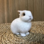 うさぎ 羊毛フェルト ネザーランドドワーフ 白茶