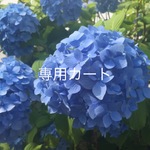 大人も使える 移動ポケット 男の子  BL迷彩 デニム