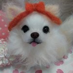 にっこりチワワちゃん
