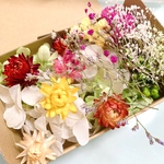 プリザーブドフラワー  ドライフラワー　花材セット