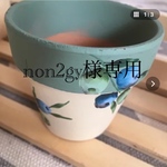 オリーブのミニ鉢
