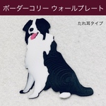 ボーダーコリー 立体ウォールプレート