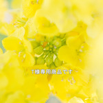 T様専用イヤリング