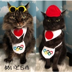 再再再入荷！ニャリンピックバンダナ、猫ちゃんの首輪