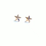 ちいさな星ピアス☆
