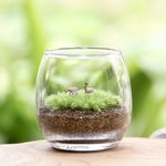 おちょこけ_ミニ鹿2匹【苔テラリウム（コケリウム・苔リウム）】