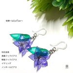 桔梗～balloonFlower～