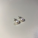 本真珠　あこや真珠　ピアス　7-7.5㎜