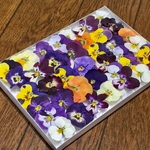 お花屋さんが作った彩りビオラのドライフラワーお詰め合わせ   ⑴