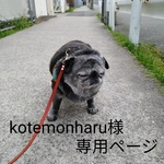 kotemonharu様専用ページ