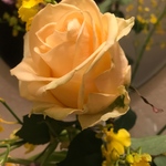 お手持ちのお着物からワンピース