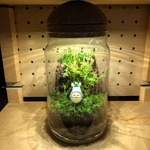 苔テラリウム ハンドメイド LEDライト付き！