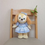 ✿オーバーレース ワンピース✿