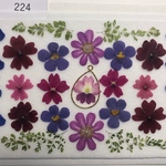 ☆押し花素材224 華やか小花セット☆