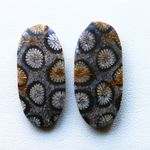天然石＊フォッシルコーラル　カボション　ルース　26 ct　2個