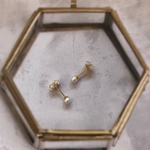 アレルギー対応✴︎再販5♡極小♡4mm✴︎シュガー パールのピアス・イヤリング