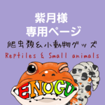 [紫月様専用]爬虫類マグネット