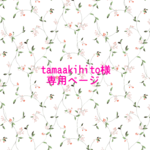 【tamaakihito様専用】 ランチョンマット三枚セット    