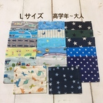 選べる２枚組マスク☆Ｌサイズ 高学年〜大人