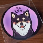 shiryu-go様　オーダー品