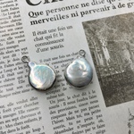 【2個】淡水シェルパーツ　97