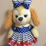 sサイズクッキーアンコスチューム