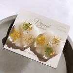 花まつり　ピアス/イヤリング
