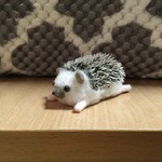 あぎゅきー様ご依頼品