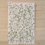 押し花かすみ草
