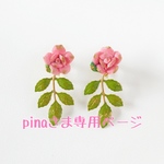 pinaさま専用ページ