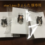 atom's pawきょんた 様専用