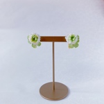 シロツメクサのイヤリング/ピアス