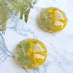 ミモザのハーバリウムピアス・イヤリング変更可