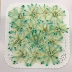  NO.414 ミント色の千鳥草／押し花素材