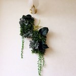 壁面アレンジ　グリーン多肉植物